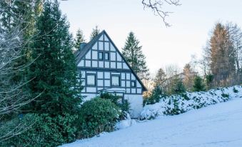 Quaint Holiday Home Near Ski Area in Neuastenberg