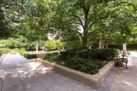 Comfortable 2BR Stay in Crystal City