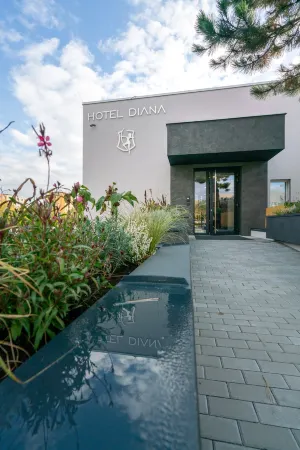 Hotel Diana Отели в г. Петровице у Карвини