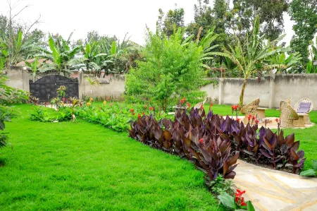 Dan Stam Hotel Отели в г. Arumeru