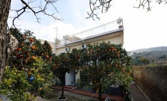 Lovely 3-Bed House in Sorrento for Families