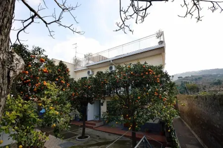 Lovely 3-Bed House in Sorrento for Families Отели рядом с достопримечательностью «Amalfi Coast Paradise»