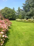 Cotswolds heaven,  feed the alpacas and relax in luxury cottage with hot tub