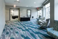 HIlton Garden Inn Detroit/Novi