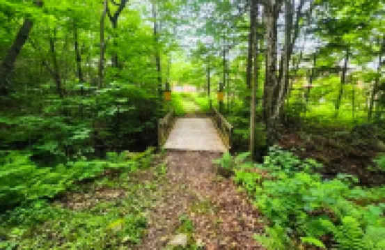 Trail Creek 33 | Condo in Killington