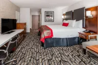 Ramada by Wyndham Austin South Hotels in Austin