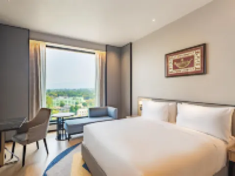 賈姆謝德布爾麗笙酒店 詹謝普爾酒店