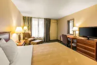 Quality Inn & Suites McDonough South I-75