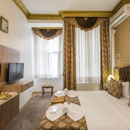 Punto Suite