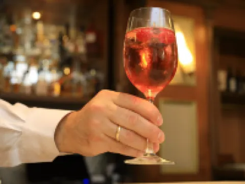 ホテル ベルビュー ウィーンのホテル