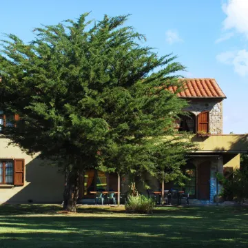 Casa Uva Agriturismo le Selvole - Tuscany