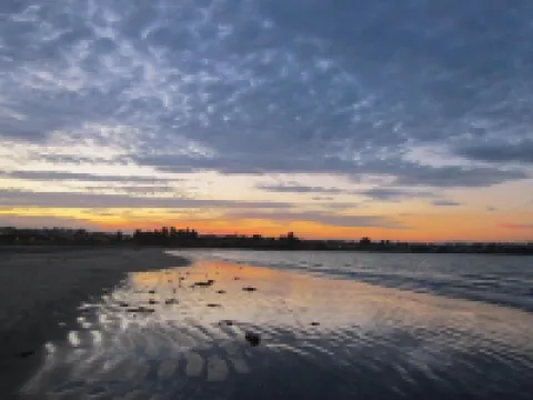 Bay City Motor Lodge