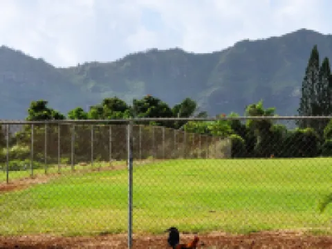 Kauai Palms Hotel リフエのホテル