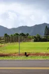 Kauai Palms Hotel Các khách sạn ở Kapaa