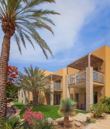 Ein Gedi Kibbutz Hotel Отели в г. Tamar