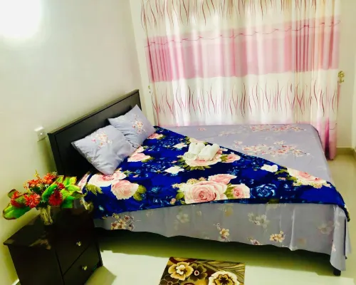 Family Ties Guest Inn โรงแรมในบาดุลลา