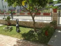 Peaceful Apartments With Style فنادق في Maslinica
