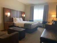 Comfort Suites Peoria I-74 - Pools
