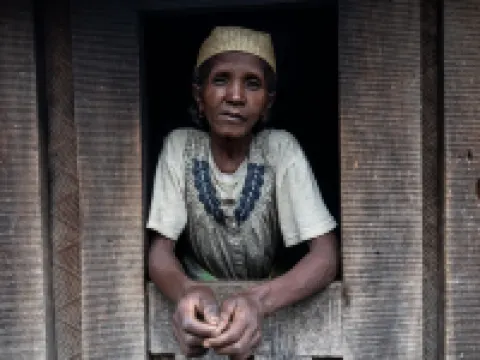 瓦利哈酒店 北塔那那利佛區酒店