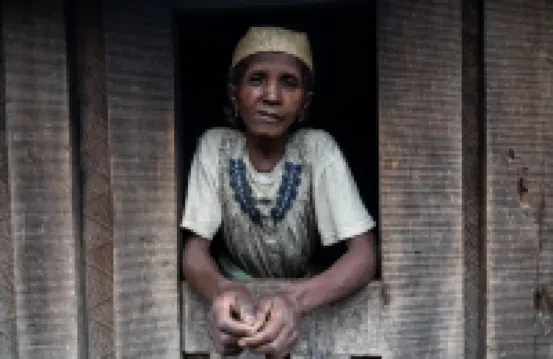 Valiha Hotel Antananarivo