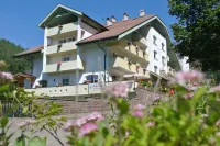 Hotel Erica Hotels in Tesero