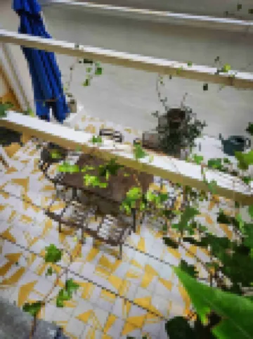 Hôtel la Nouvelle République & Hammam