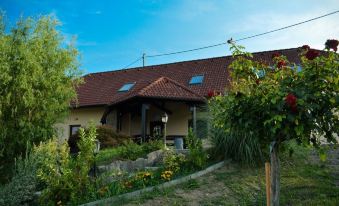 Guest House Zevnik