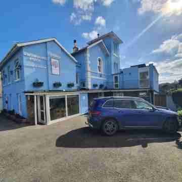 The Purple Tree Guest House Hotel Exterior