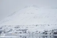 Media Luna Guesthouse