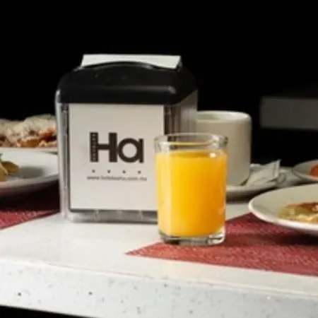 Hotel Ha