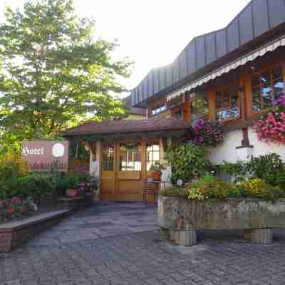 Hotel Altenberg Hotel Exterior