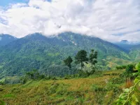 Lee's Charm Homestay