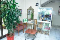 Yeka Guest House - Pensions