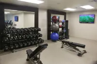 Embassy Suites by Hilton Los Angeles International Airport South - Fitnessstudio