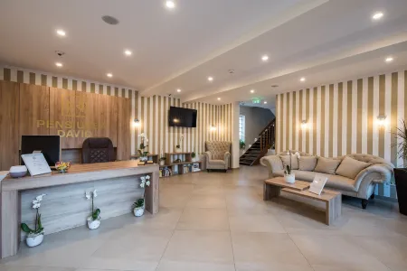 Pensiunea David Отели рядом с достопримечательностью «The Palace of Culture in Târgu Mureș»