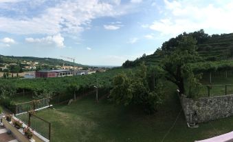 La Bella Vigna