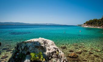 Apartments Mistral
