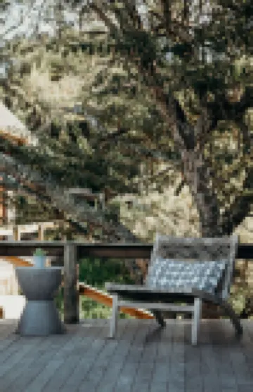 Bukela Game Lodge - Amakhala Game Reserve
