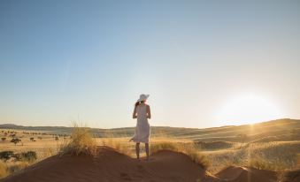 The Desert Grace