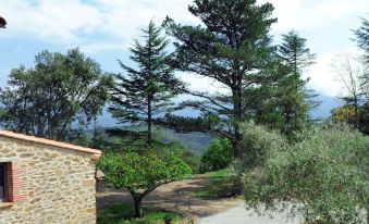 Le Mas des Colombes Chambres d'hôtes B&B & Spa