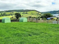 Green Dragon and Kitchen Pod - Sleeps 2 & Parking Hotels in Welshpool