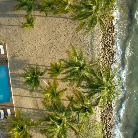 Dolphin Beach - Private Oceanfront 4-Bed Villa WPool on Huge Lot