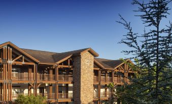 Palace View Resort by Spinnaker