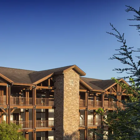 Palace View Resorts