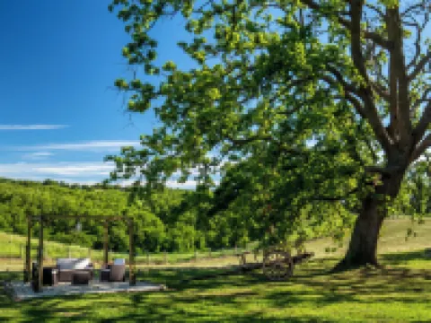 B&B Borgo Vera Hotels in Province of Grosseto