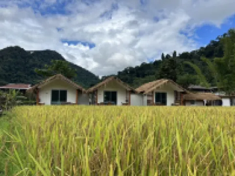 薩潘迪景觀