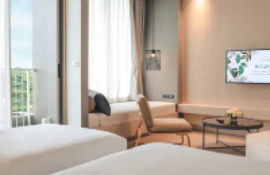 溫萊迪威爾尼斯清邁