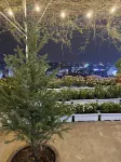 ตึ้งวีดาลัดเซ็นทรัล โรงแรมใน