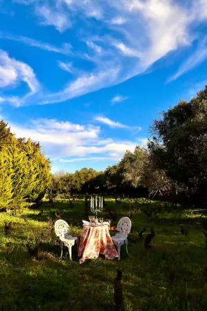 Kemerbag 29 Guest House 12 Yaş Üstü Отели в г. Бозджаада