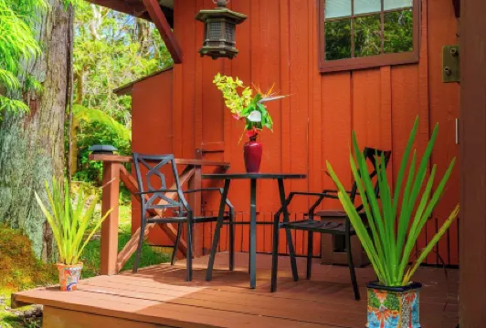 Volcano Artist Cottage